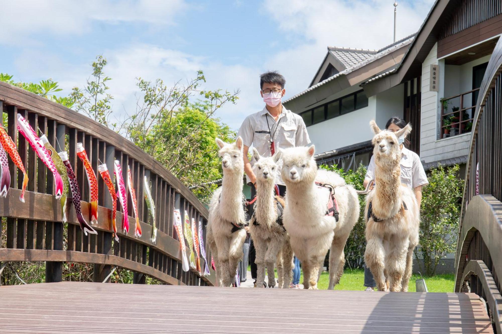 Dancewoods Hotel Wujie Eksteriør billede